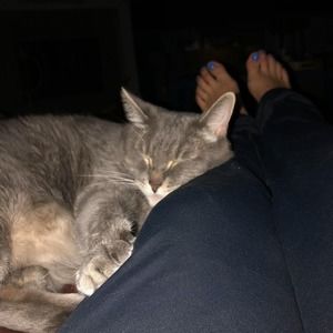 Meet your Posher, Charlette